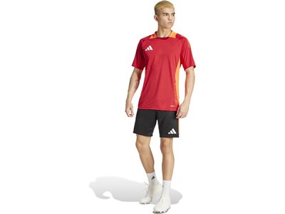 ADIDAS Herren Shorts Tiro 24 Competition (normal & lang) Grau