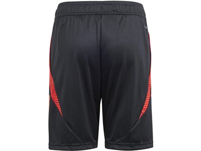 ADIDAS Kinder Teamhose Tiro 24 Competition Kids Schwarz