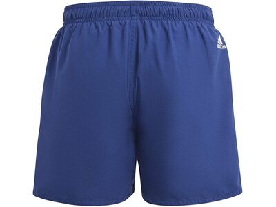 ADIDAS Kinder Badeshorts Sportswear Essentials Logo CLX Kids Blau