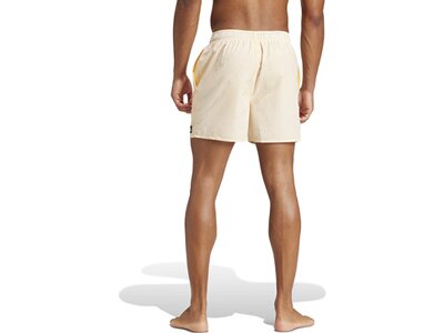 ADIDAS Herren Shorts Stripey Classics Short Length pink