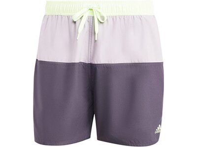 ADIDAS Herren Shorts Colorblock CLX Grau