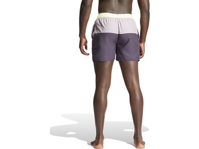 ADIDAS Herren Shorts Colorblock CLX Grau