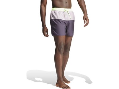 ADIDAS Herren Shorts Colorblock CLX Grau