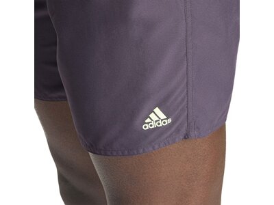 ADIDAS Herren Shorts Colorblock CLX Grau