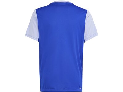 ADIDAS Kinder Shirt Train Essentials AEROREADY Logo Regular-Fit Blau