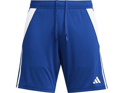 ADIDAS Herren Shorts Tiro 24 Blau