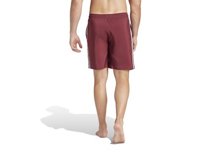 ADIDAS Herren Shorts 3-Streifen CLX Braun