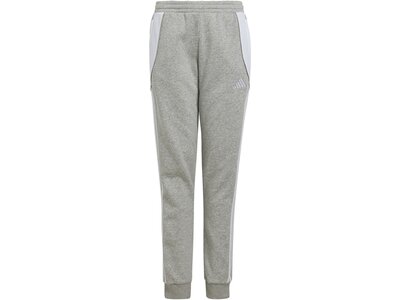 ADIDAS Kinder Sporthose Tiro 24 Kids Grau