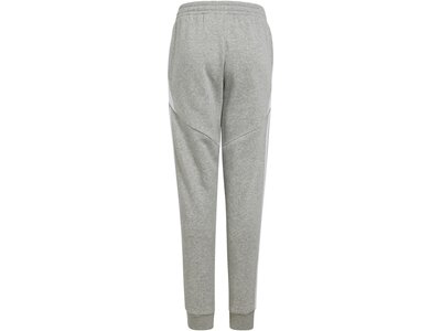 ADIDAS Kinder Sporthose Tiro 24 Kids Grau