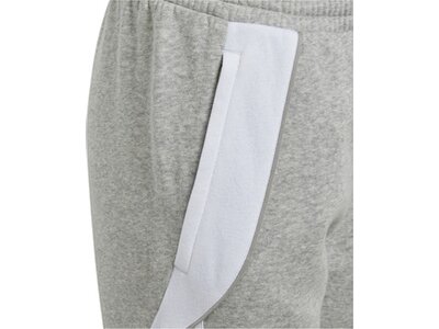 ADIDAS Kinder Sporthose Tiro 24 Kids Grau