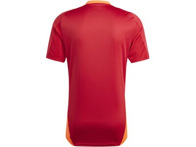 ADIDAS Herren Trikot Tiro 24 Competition (normal & lang) Rot