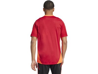 ADIDAS Herren Trikot Tiro 24 Competition (normal & lang) Rot