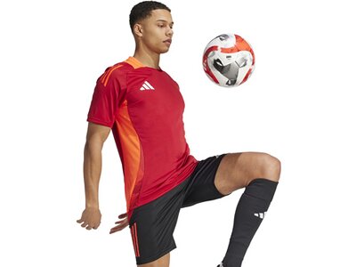 ADIDAS Herren Trikot Tiro 24 Competition (normal & lang) Rot