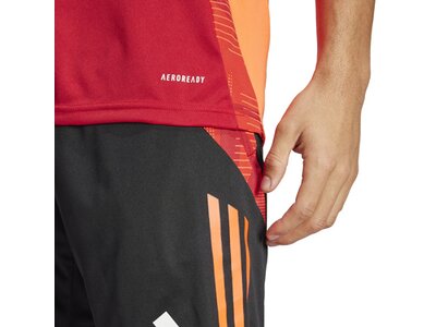 ADIDAS Herren Trikot Tiro 24 Competition (normal & lang) Rot