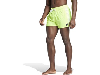 ADIDAS Herren Shorts 3-Streifen CLX Grün