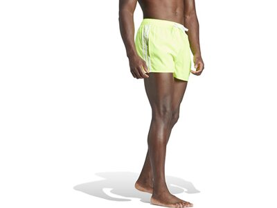 ADIDAS Herren Shorts 3-Streifen CLX Grün