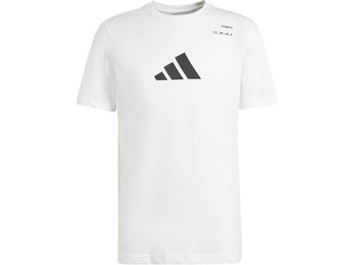 ADIDAS Herren Shirt AEROREADY Tennis Category Graphic Weiß