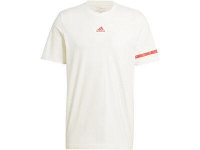 ADIDAS Herren Shirt Brand Love Collegiate Graphic Grau