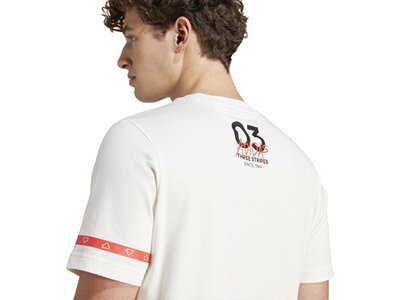 ADIDAS Herren Shirt Brand Love Collegiate Graphic Grau
