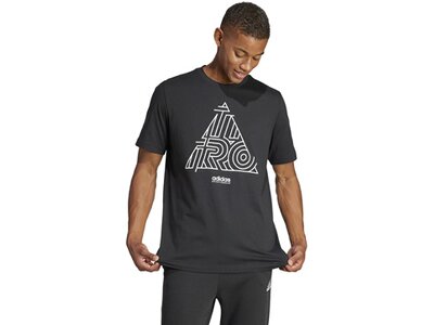 ADIDAS Herren Shirt House of Tiro Graphic Grau