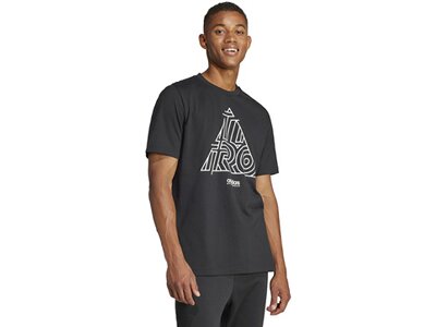 ADIDAS Herren Shirt House of Tiro Graphic Grau