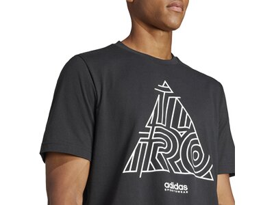 ADIDAS Herren Shirt House of Tiro Graphic Grau