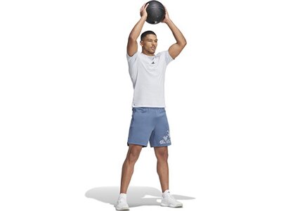 ADIDAS Herren Shorts Workout Logo Knit (Länge 7 Zoll) Grün