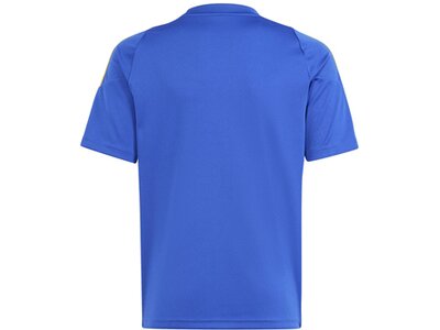 ADIDAS Kinder Trikot Pitch 2 Street Messi Kids Blau