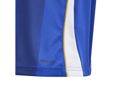 ADIDAS Kinder Trikot Pitch 2 Street Messi Kids Blau