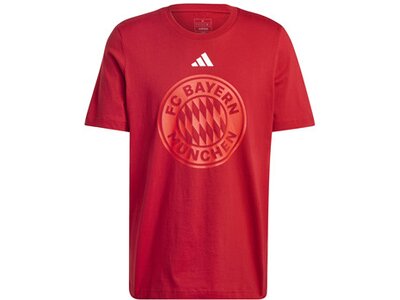 ADIDAS Herren Fanshirt FC Bayern München DNA Graphic Rot