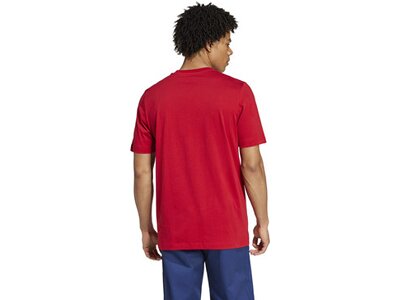 ADIDAS Herren Fanshirt FC Bayern München DNA Graphic Rot