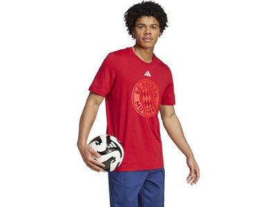 ADIDAS Herren Fanshirt FC Bayern München DNA Graphic Rot