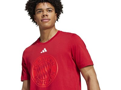 ADIDAS Herren Fanshirt FC Bayern München DNA Graphic Rot