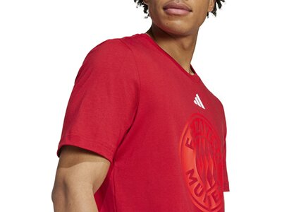 ADIDAS Herren Fanshirt FC Bayern München DNA Graphic Rot