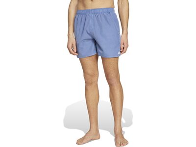 ADIDAS Herren Shorts Washed Out Cix Grau
