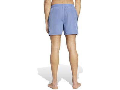 ADIDAS Herren Shorts Washed Out Cix Grau