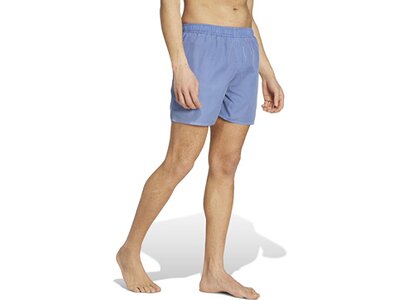 ADIDAS Herren Shorts Washed Out Cix Grau