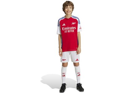 ADIDAS Kinder Teamhose FC Arsenal 24/25 Kids Heim Pink