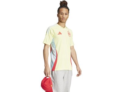 ADIDAS Herren Trikot Spanien 24 Auswärtstrikot Gelb