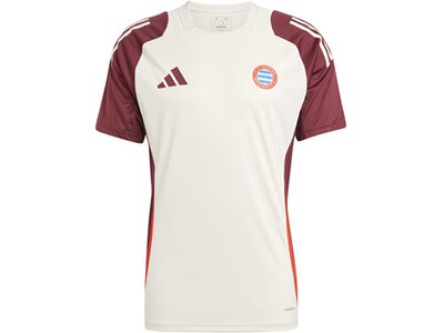 ADIDAS Herren Trikot FC Bayern München Tiro 24 Pink
