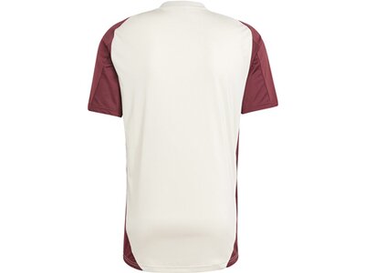 ADIDAS Herren Trikot FC Bayern München Tiro 24 Pink