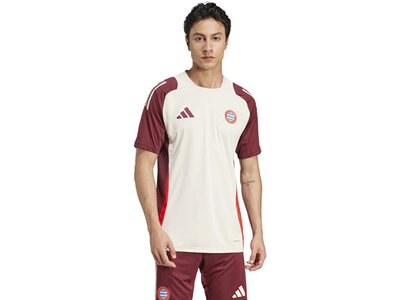 ADIDAS Herren Trikot FC Bayern München Tiro 24 Pink