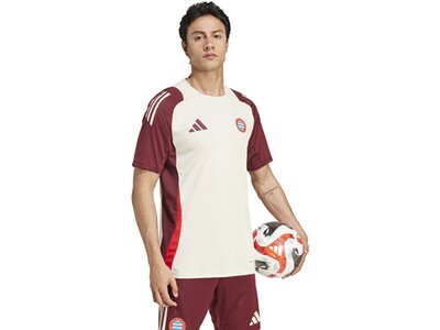 ADIDAS Herren Trikot FC Bayern München Tiro 24 Pink