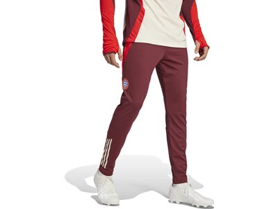 ADIDAS Herren Fanhose FC Bayern München Tiro 24 Rot