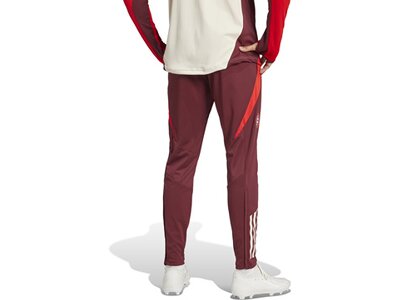 ADIDAS Herren Fanhose FC Bayern München Tiro 24 Rot