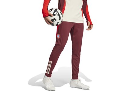 ADIDAS Herren Fanhose FC Bayern München Tiro 24 Rot