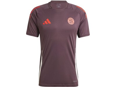 ADIDAS Herren Trikot FC Bayern München Tiro 24 Braun