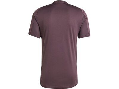 ADIDAS Herren Trikot FC Bayern München Tiro 24 Braun