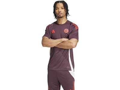 ADIDAS Herren Trikot FC Bayern München Tiro 24 Braun