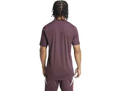 ADIDAS Herren Trikot FC Bayern München Tiro 24 Braun